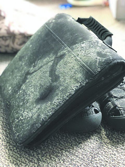 Moldy Laptop Bag